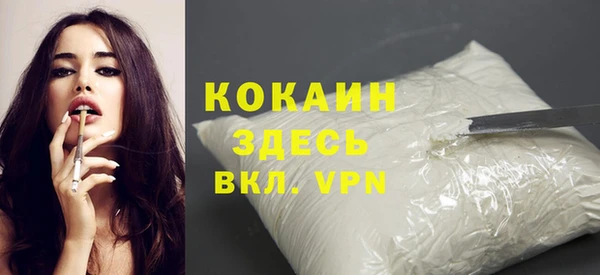 спайс Богданович