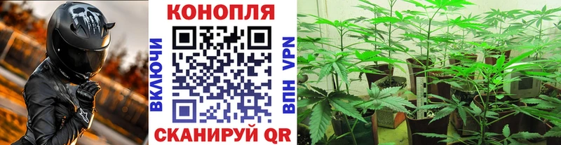 Купить  Ветлуга  Каннабис тримм 